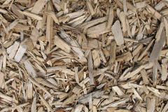 biomass boilers Falnash